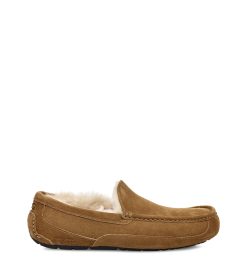 UGG -Ascot Chestnut