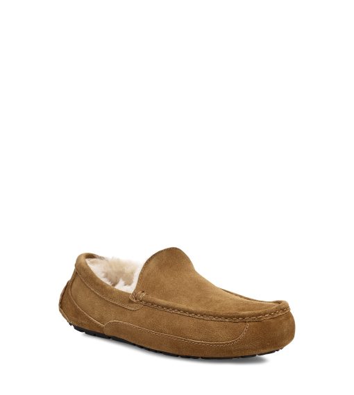 UGG -Ascot Chestnut