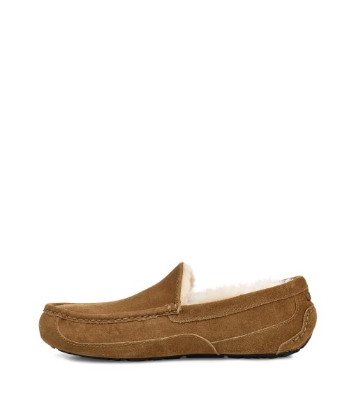 UGG -Ascot Chestnut