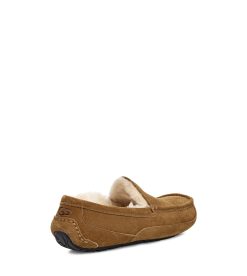 UGG -Ascot Chestnut