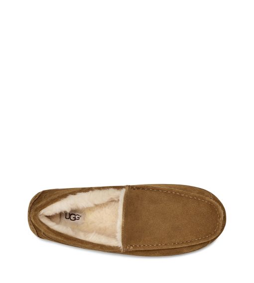 UGG -Ascot Chestnut