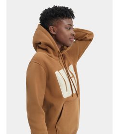 UGG RTW Collection-Rey fluff Logo Hoodie Chestnut / Plaster